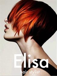 Elisa Hair Stylist
