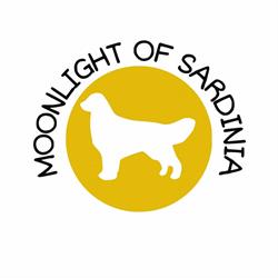 Moonlight Of Sardinia