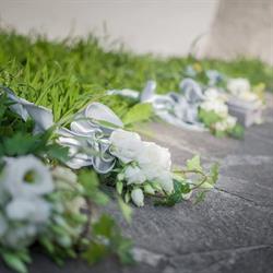 Studio Immage Wedding Photos