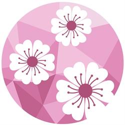 Centro Clinico Il Ciliegio di Cristina Riva Studio di Psicologia e Psicoterapia