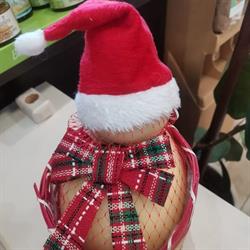 Sapori del Sud