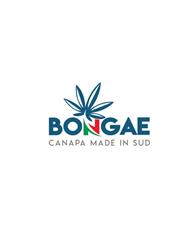 BONGAE - Negozio di Cannabis