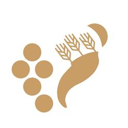 Tenuta Santa Cristina