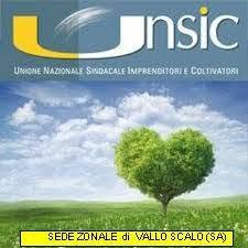 CAA UNSIC
