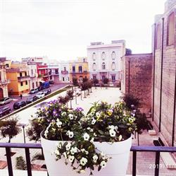 B&B La Petunia Blu