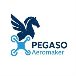 Pegaso Aeromaker di Gianluca Primon