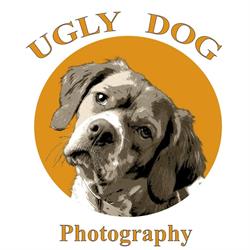 Ugly Dog Photography