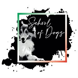 School of Dogs