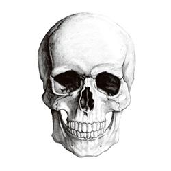 SkullInk Studio Tattoo