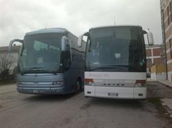 Botticelli bus
