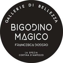 Gallerie di Bellezza Il Bigodino Magico