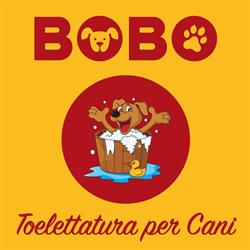 Toelettatura Bobo