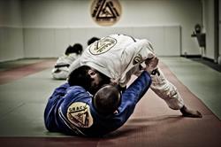 Brazilian Jiu Jitsu Savona
