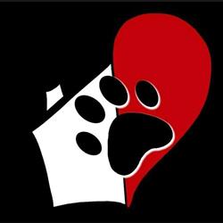 Dog Village di Omar Bertino