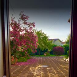 Il Giardino Segreto Apartment