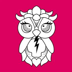 Owl Skull