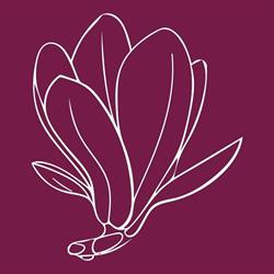 Centro Clinico Magnolia