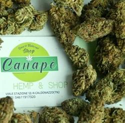 Canapè smart natural shop