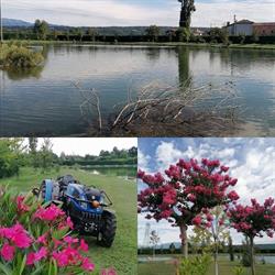 I LAGHI GOLIA