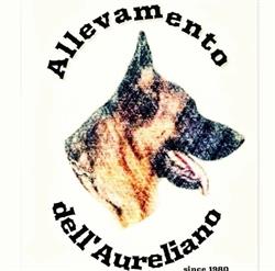 Allevamento dell Aureliano