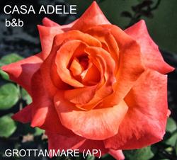 B&B Casa Adele