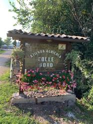 Azienda Agricola Colle Doro