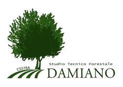 Studio Tecnico Forestale Damiano