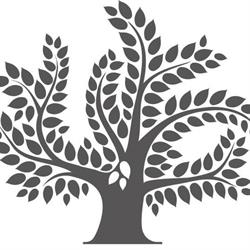 Tenuta la Falcona