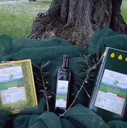 Azienda Agricola Miani,Olio Extravergine D Oliva