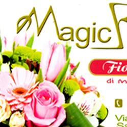 Fioreria Bonasia - Magic Flower