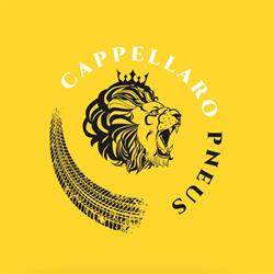 CAPPELLARO PNEUS - ROZZANO