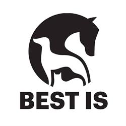 Best Is - Clinica Veterinaria Adorini