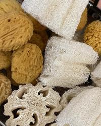 Eco Bolle MeglioSfuso
