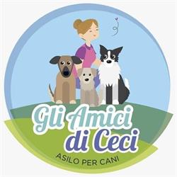 Amici di Ceci - Asilo e Socializzazione per cani