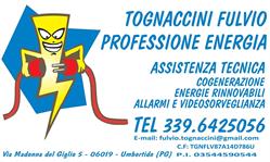 Tognaccini Fulvio Professione Energia