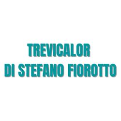 Trevicalor di Stefano Fiorotto Srl - Vaillant Partner