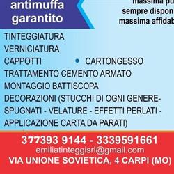 Emilia tinteggi srl