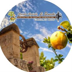 Azienda agricola Li Scucchi