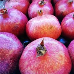 Frutteria da Zio