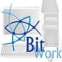 BitWork