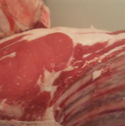 Macelleria Fiorentina
