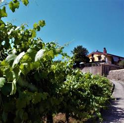 Agriturismo Campo Aperto