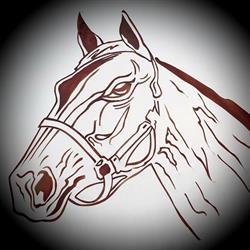 Macelleria equina Paganuzzi