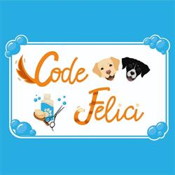 Code Felici