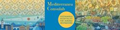 Mediterranea Consulab