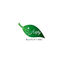 Allfly SRL