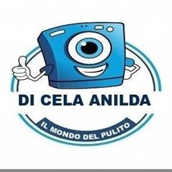 Il mondo del pulito