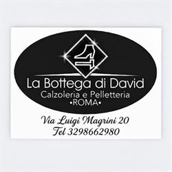 La bottega di David
