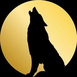 Wolf Investigazioni