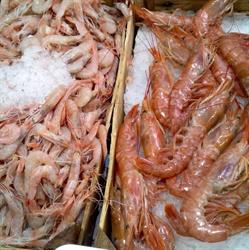 Le delizie del pescato